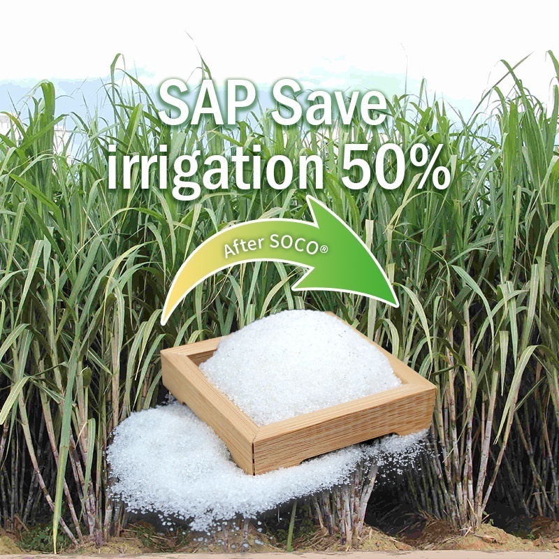 SOCO Polymer Superabsorbent Polymer Sap planting gel For Agricultural