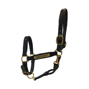 Wholesale Hor se Head Collar Adjustable Horse Riding Equipment Soft Horse Tack