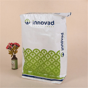 Industrial Plaster Plastic Packaging Bag For White Kaolin Clay Powder Calcium Carbonate Powder Gypsum Powder