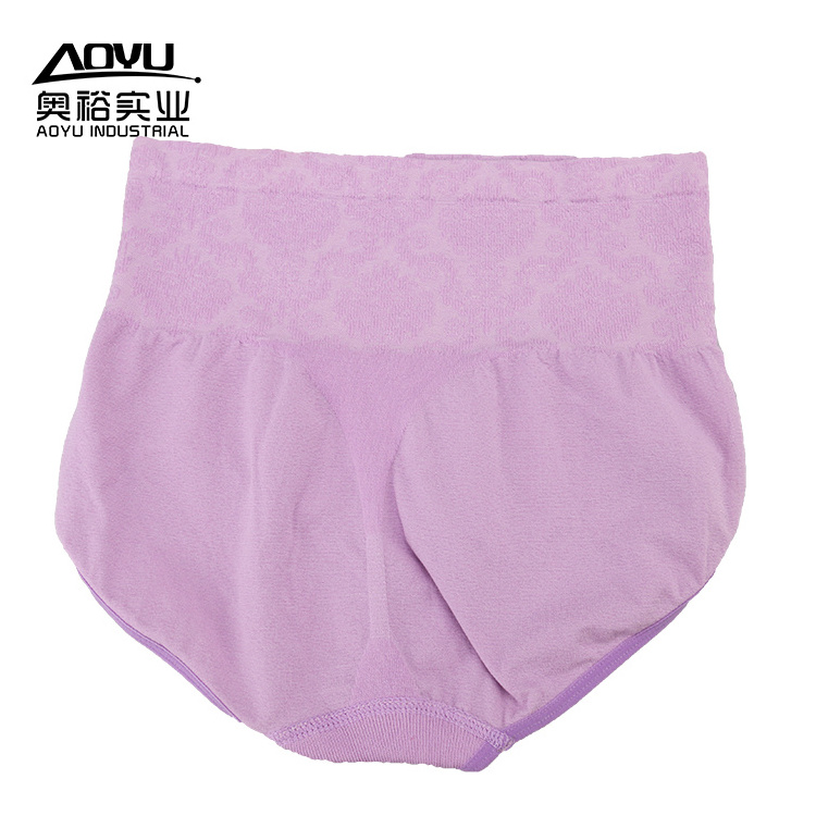 Chinese Factory Seamless Underwear High Waist Slimming Women Seamless Panties