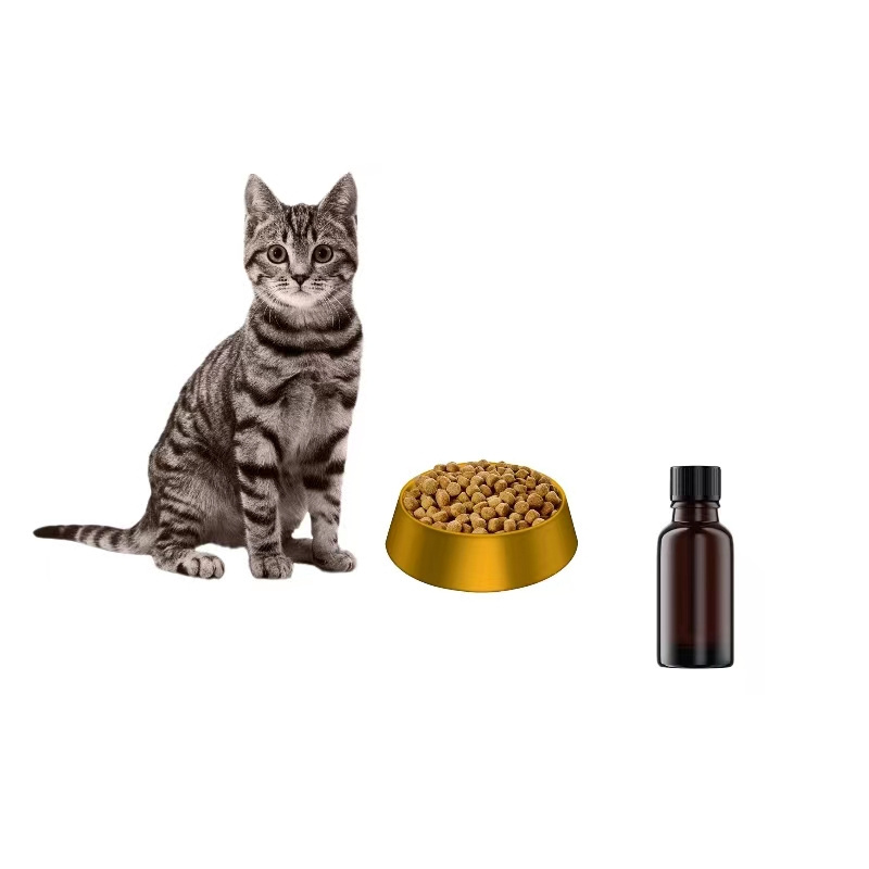 Dog and Cat Pet Food Flavors Chicken Aroma Flavor Chicken Oil Essence Flavored Concentrate Chicken Perfume