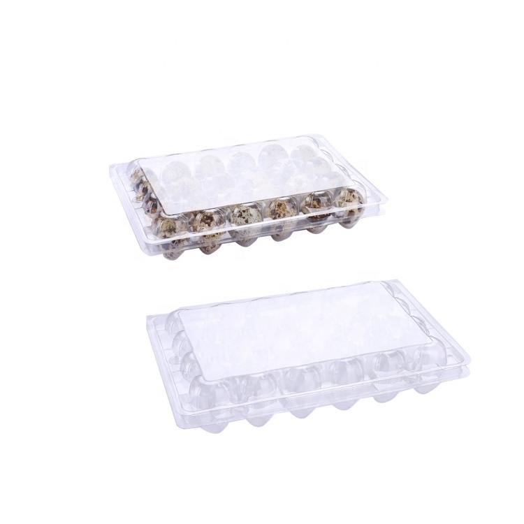 customized bulk quail egg cartons packaging