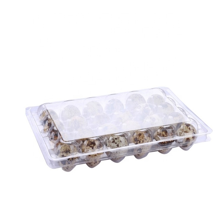 customized bulk quail egg cartons packaging