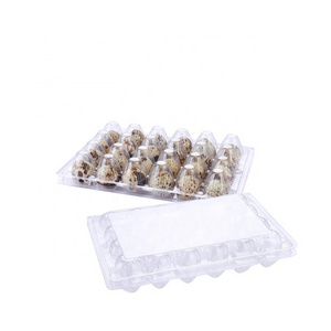 customized bulk quail egg cartons packaging