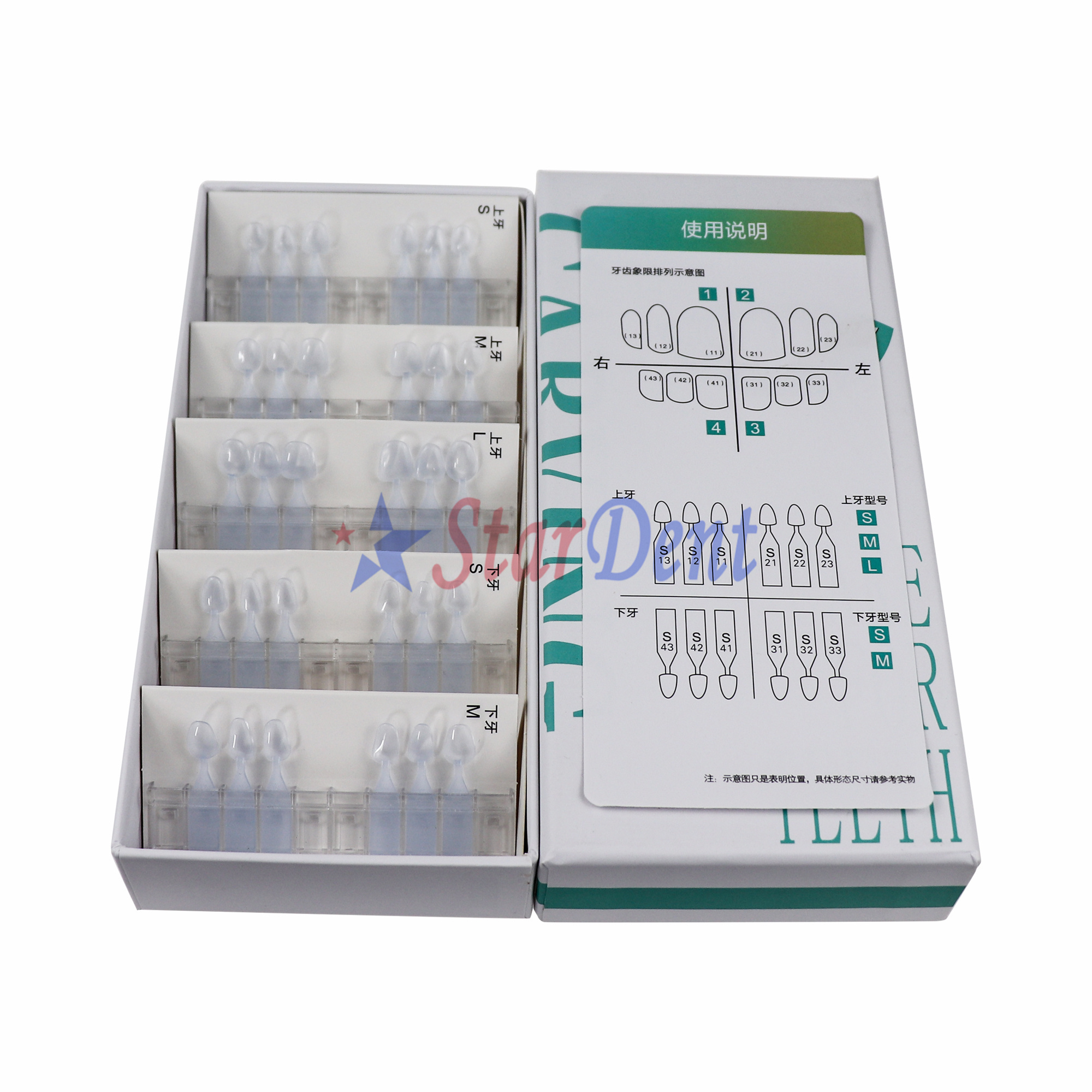 Dental Veneer Template Composite Resin Mould Templates Light Cure Anterior Posterior Teeth Fast Quick Dental Printing Model