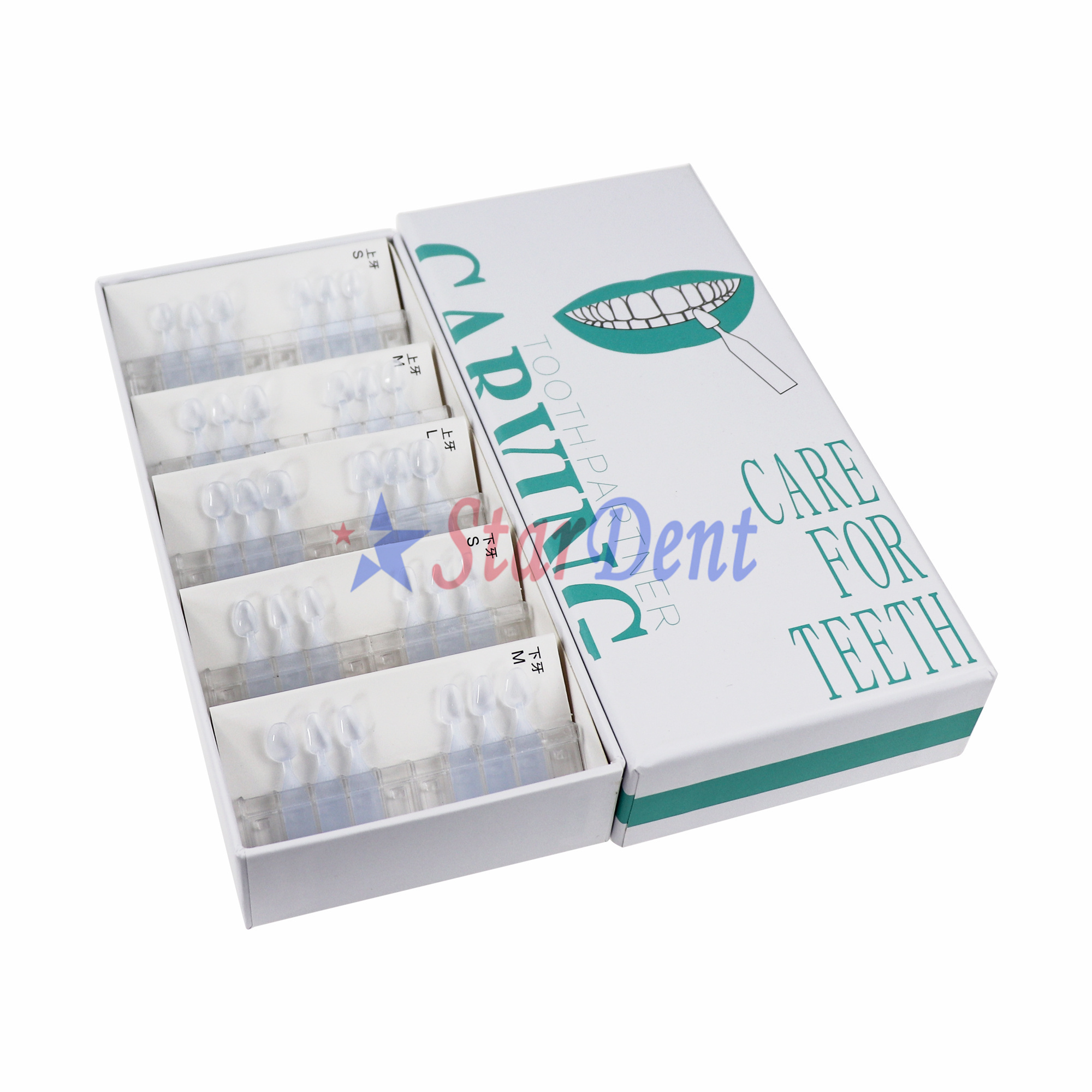 Dental Veneer Template Composite Resin Mould Templates Light Cure Anterior Posterior Teeth Fast Quick Dental Printing Model