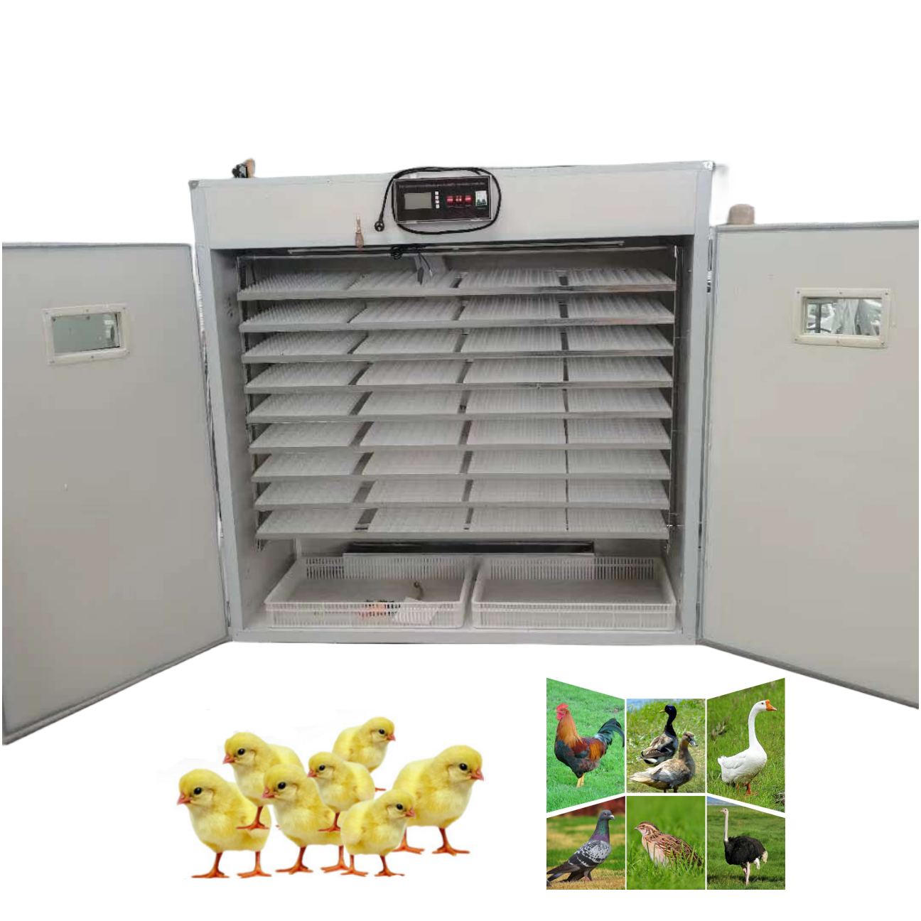 Eggs Incubator Automatic Incubator for Sale 220v and 12v Chicken Duck Eggs Commercial Egg Incubator