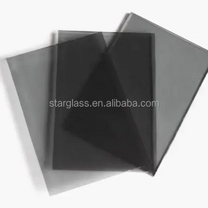 5mm 6mm 10mm 12mm Euro Gray Reflective Float Tinted Black Glass Smoke Gray Tempered Glass