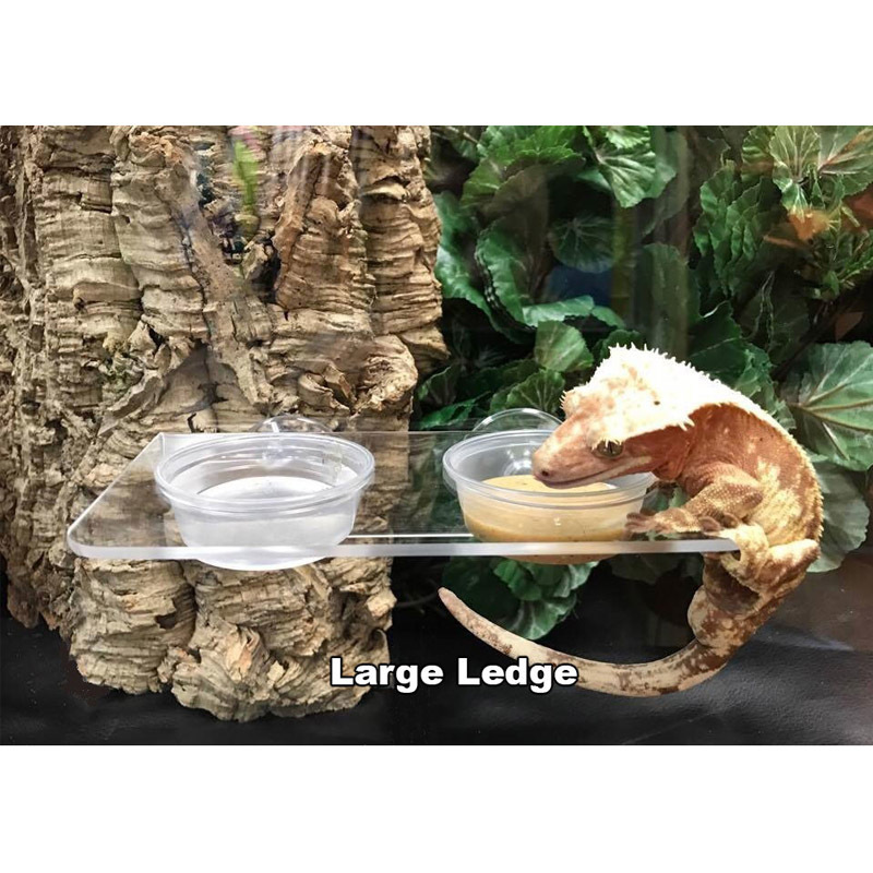 Wall Acrylic Gecko Ledge Custom Reptile Ledge with Suction Cup Lucite Gecko Shelf Ledge