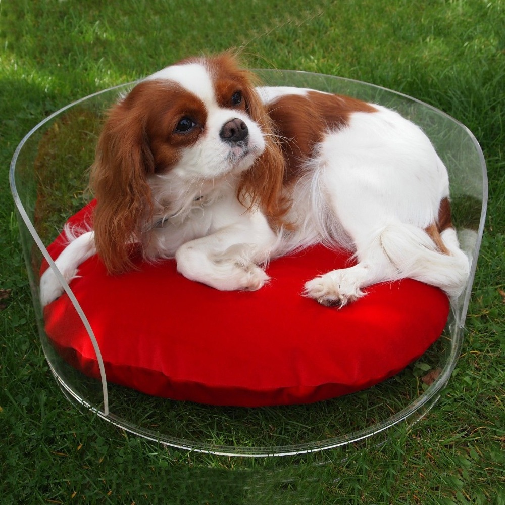 Acrylic Pet Dog Bed, Clear Acrylic Plastic Cat Pet Bed Cute Dog Bed