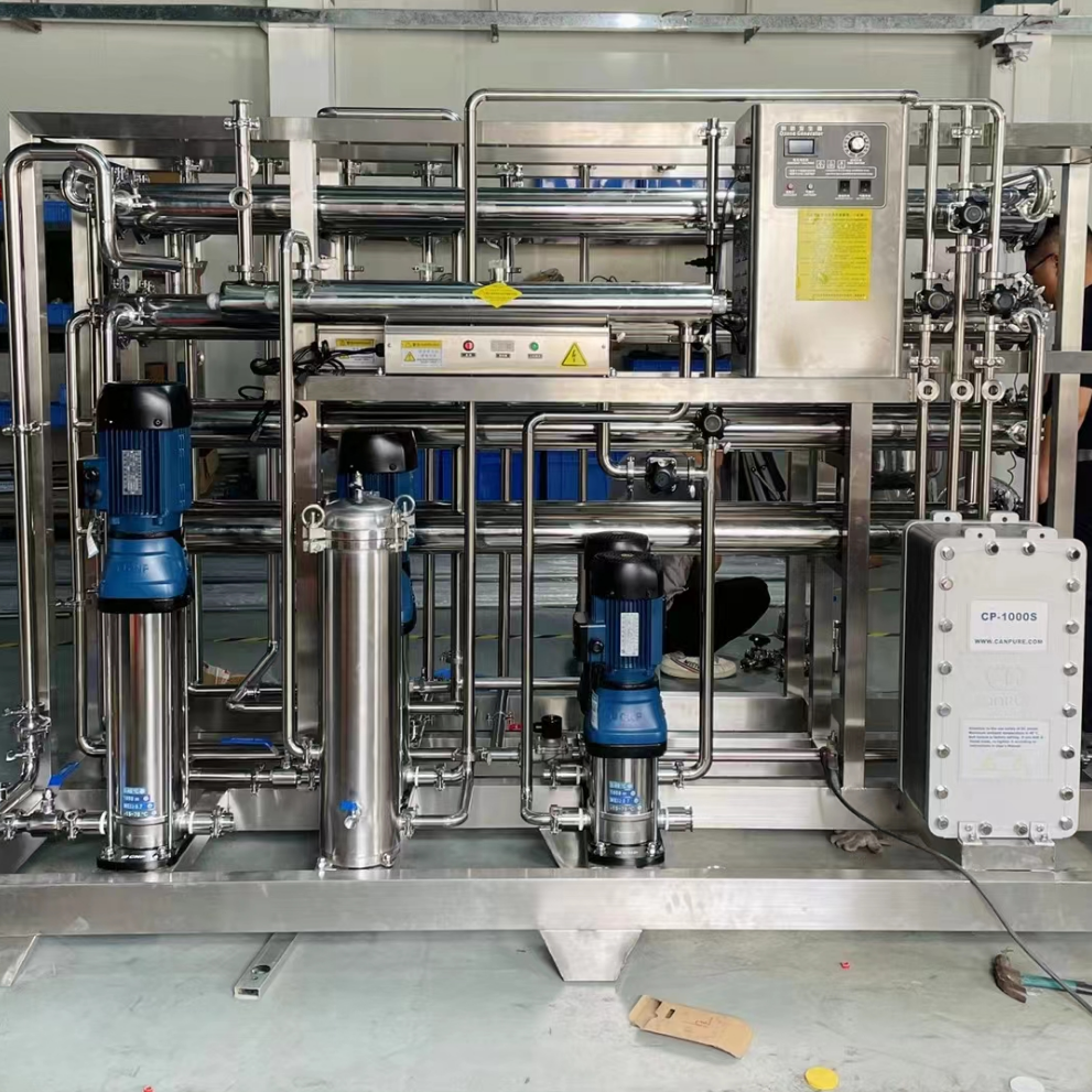 deionized water system double pass RO system with EDI module with mix bed ultra pure water for boiler electricity industry