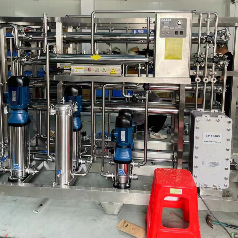 deionized water system double pass RO system with EDI module with mix bed ultra pure water for boiler electricity industry