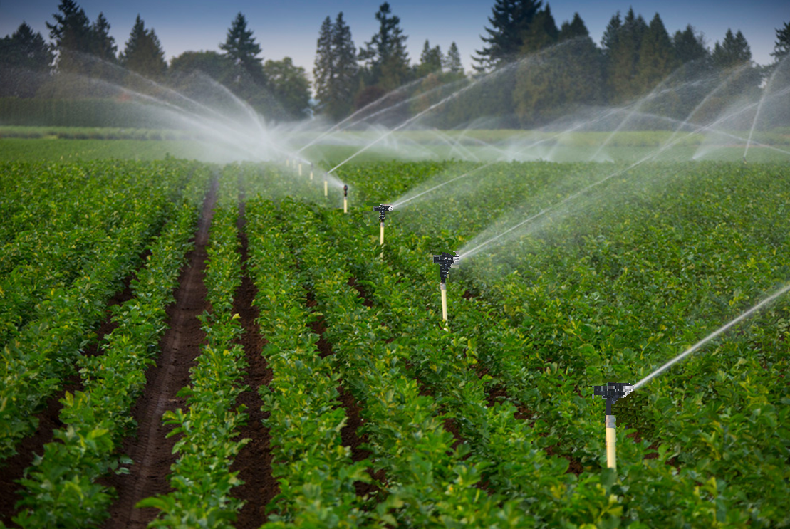 Agriculture Irrigation Drip Farm Sprinkler Garden Irrigation Sprinklers for Efficient Watering