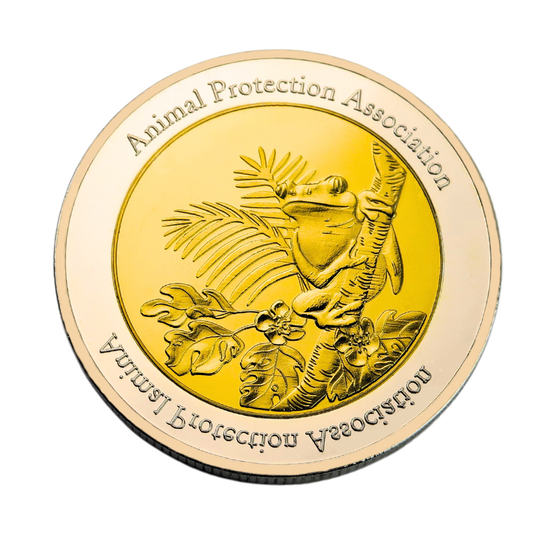 High Quality Custom Logo Shiny Gold Metal Commemorative Coin