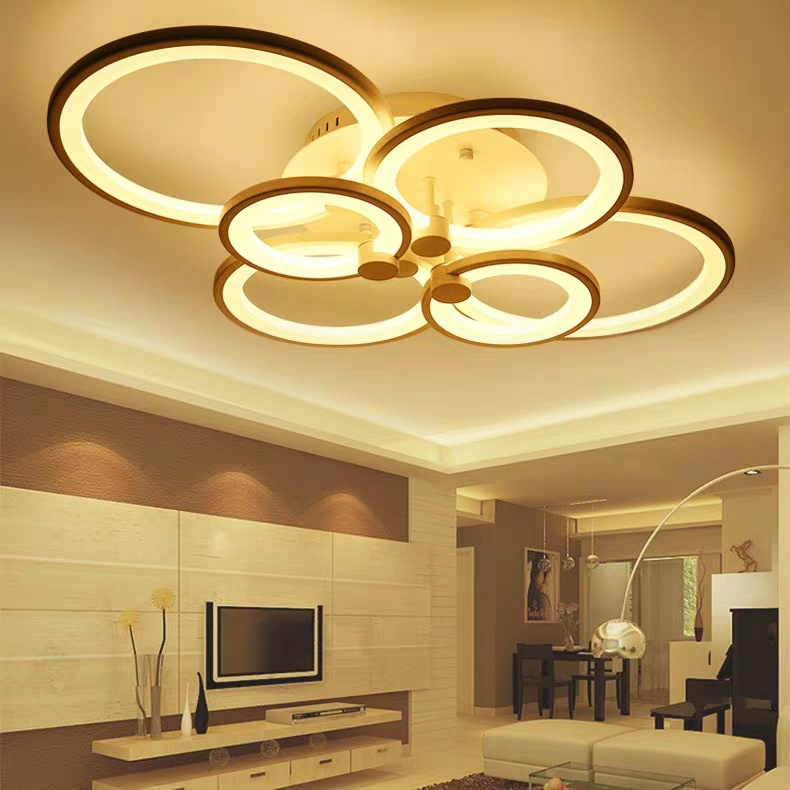 Led Ceiling Light Lamp Modern Downlight Fixtures Iron Chandelier Ring Ceiling Flush Mount Lighting