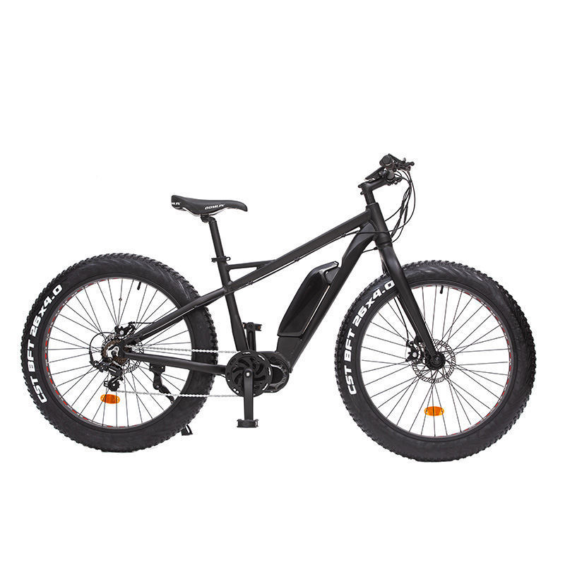 High Quality 26 inch 1000W Brushless Fat Tire Electric Bicycle Mountain Bike