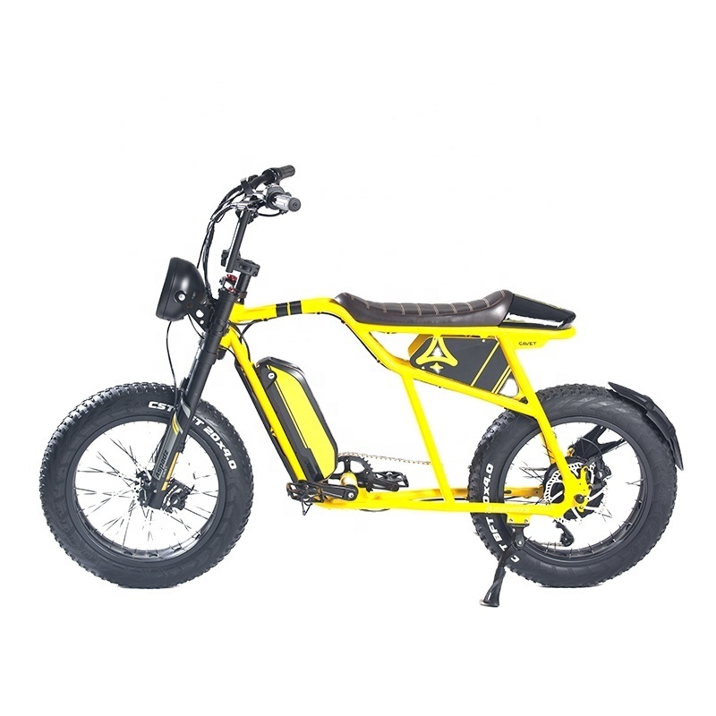 DOMLIN 48V 20AH Electric Bike E bike electric motorcycle bicycle with All Terrain Fat Tire Bicicleta Eletrica