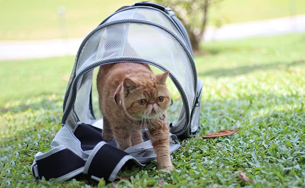 Hot Sale Expandable Transparent Bubble Space Capsule Pet Cat Carrying Carrier Backpack Pet Travel Carrier Bag