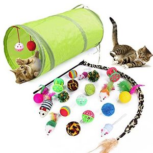 21PCS Cat Toy Set Cat Feather Teaser Interactive Cat Toy Wand Kitten Toys with Plastic Passage