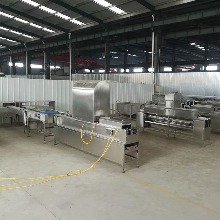 Industrial egg grading packing machine egg sorting washing machine egg sorter