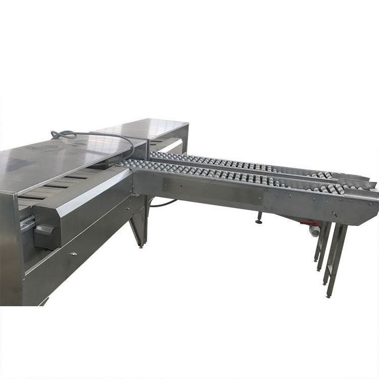 Industrial egg grading packing machine egg sorting washing machine egg sorter