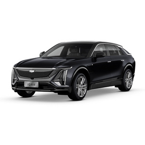 DLST Auto 2024 New Energy Cadillac IQ Rave Electric Car Made in China Original Promotional Electric Vehicle