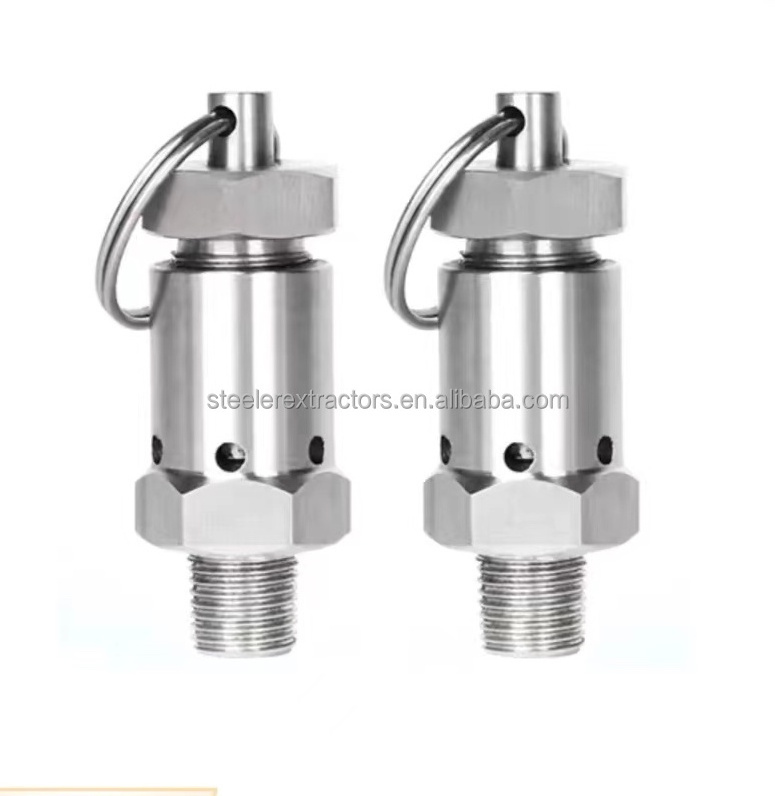 Stainless Steel 304 Safety Valve Pull Ring Exhaust Valve Mini Pressure Relief Valve 2 Points 4 Points