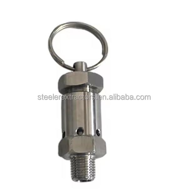 Stainless Steel 304 Safety Valve Pull Ring Exhaust Valve Mini Pressure Relief Valve 2 Points 4 Points