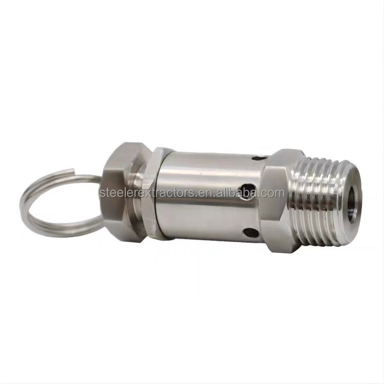 Stainless Steel 304 Safety Valve Pull Ring Exhaust Valve Mini Pressure Relief Valve 2 Points 4 Points