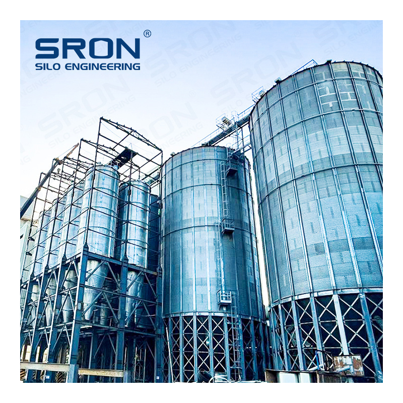 SRON Small Capacity Silo 20 tons 30 tons 50 tons Grain Silo Cattle Feed Storage Silo In Animal Feed Line