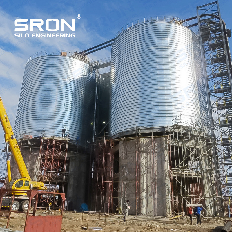 Aggregate Storage Bin 100Ton Cement Silo for Batching Plant