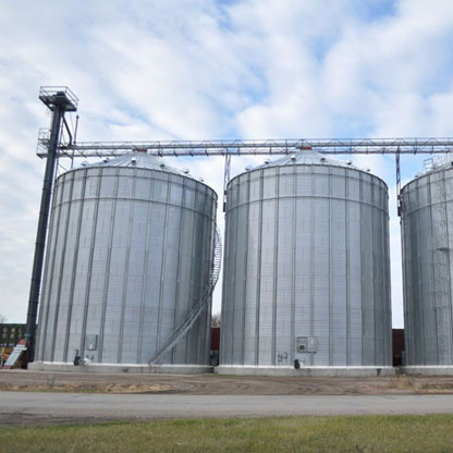 Professional Chicken Feed Silo For Poultry Farming