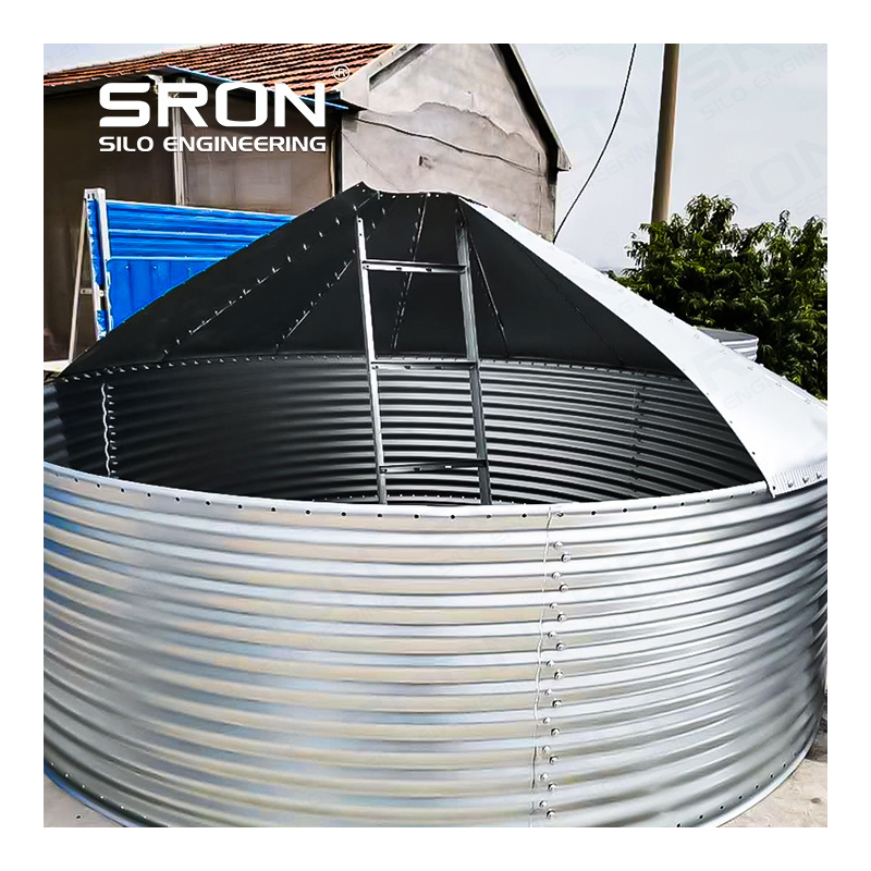 SRON Good Price Stainless Steel Small Mini Portable Corn Maize Flour Storage 20 Ton Grain Silo