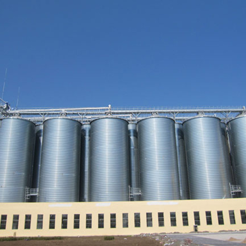 Professional Chicken Feed Silo For Poultry Farming