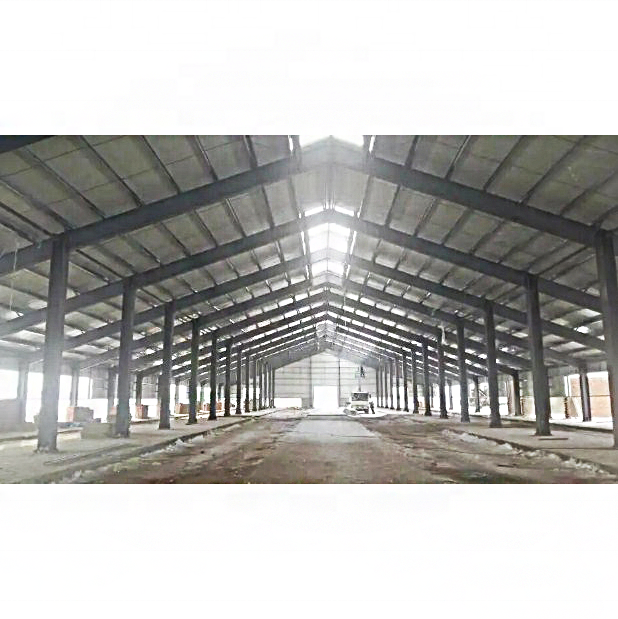 warehouse steel structure buildings / prefab mini warehouse / steel structures workshop