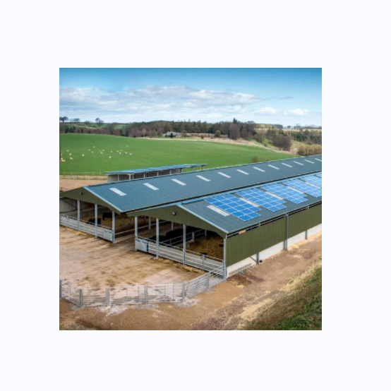 Complete Specifications Prefabricated Steel Structure Hay shed Barn Insulated Dog Kennel Shed Farm Warehouse shed construction