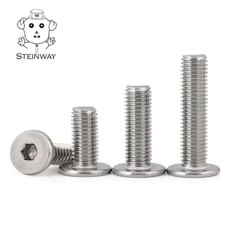 Stainless Steel M6 M8 M10 Bevel Edge Flat Head Hex Socket Furniture Insert Screws Joint Connector Bolts And Barrel Nuts