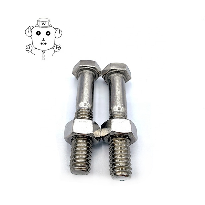 Stainless Steel Bolt and Nut M16X100 M10x125 316 Grade M39 M30 Hexagonal M8x20 M33 Bolts Fasteners and Bolts