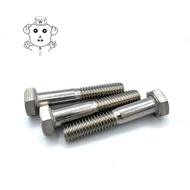 Stainless Steel Bolt and Nut M16X100 M10x125 316 Grade M39 M30 Hexagonal M8x20 M33 Bolts Fasteners and Bolts