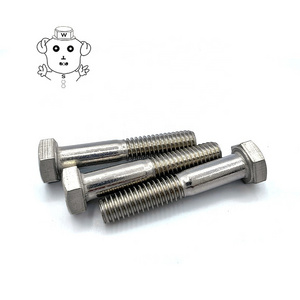 Stainless Steel Bolt and Nut M16X100 M10x125 316 Grade M39 M30 Hexagonal M8x20 M33 Bolts Fasteners and Bolts