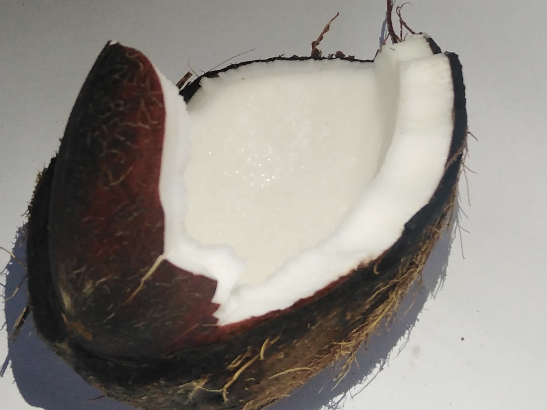 Wholesale Fresh Semi Husked Matured Organic Coconut,Semi Husked Coconuts Suppliers From Ghana, Reliable Supply