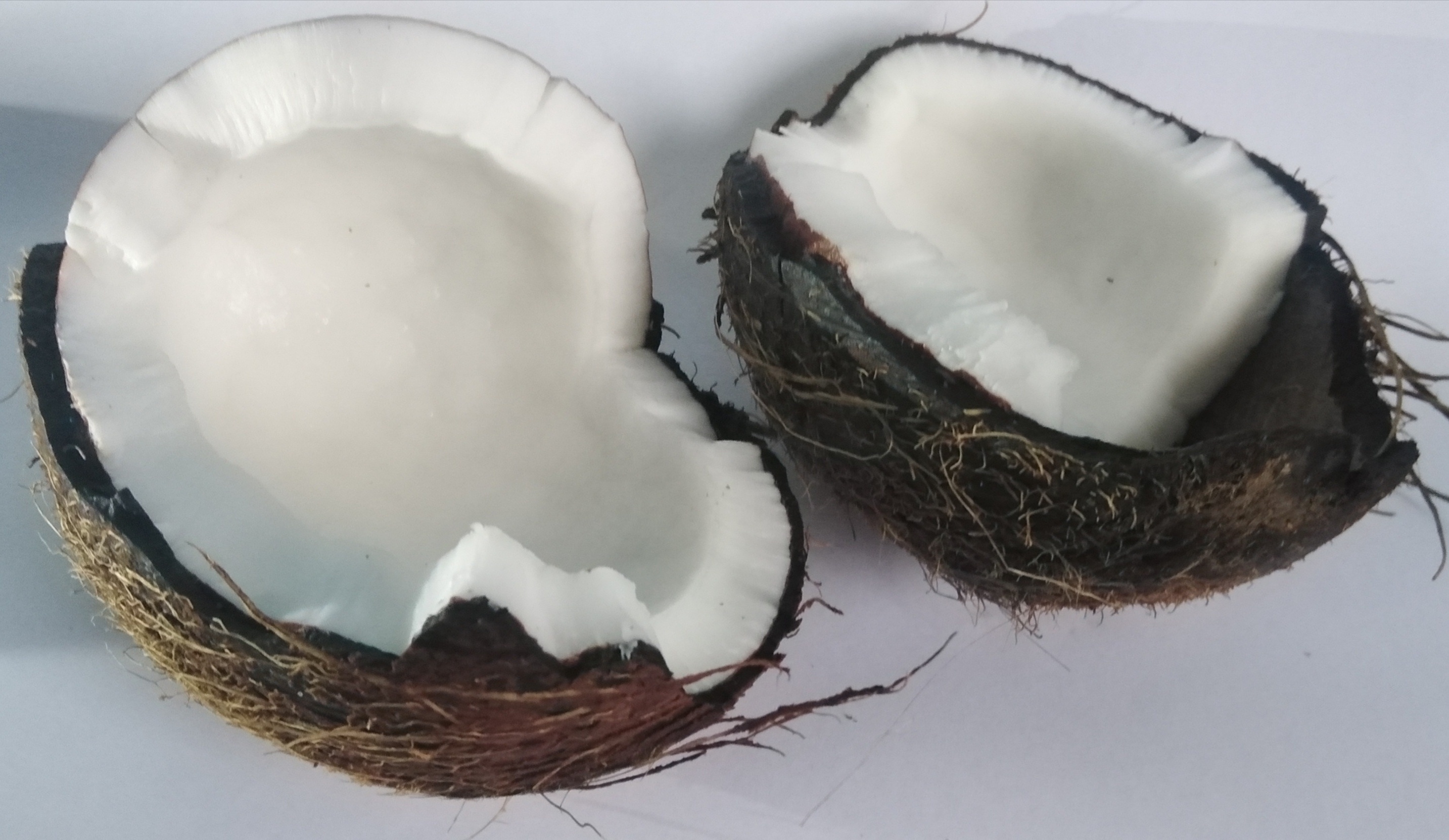 Wholesale Fresh Semi Husked Matured Organic Coconut,Semi Husked Coconuts Suppliers From Ghana, Reliable Supply