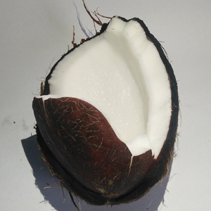 Wholesale Fresh Semi Husked Matured Organic Coconut,Semi Husked Coconuts Suppliers From Ghana, Reliable Supply