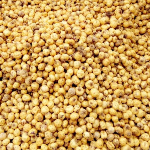 Tiger Nuts