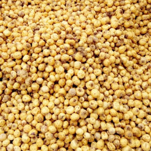 Tiger Nuts