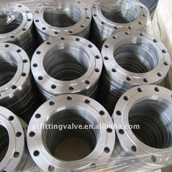 Plate Stainless Steel Flange 304 Pipe Fittings