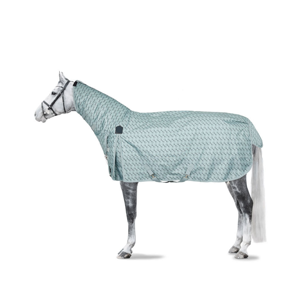 New Style Standard Sheet Blanket Horse Protection Sheet Winter Waterproof Horse Rug For Sale