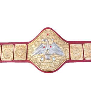 Championship Belt MMA Boxing Muay Thai Taekwondo Special Event Champion Belts 2023