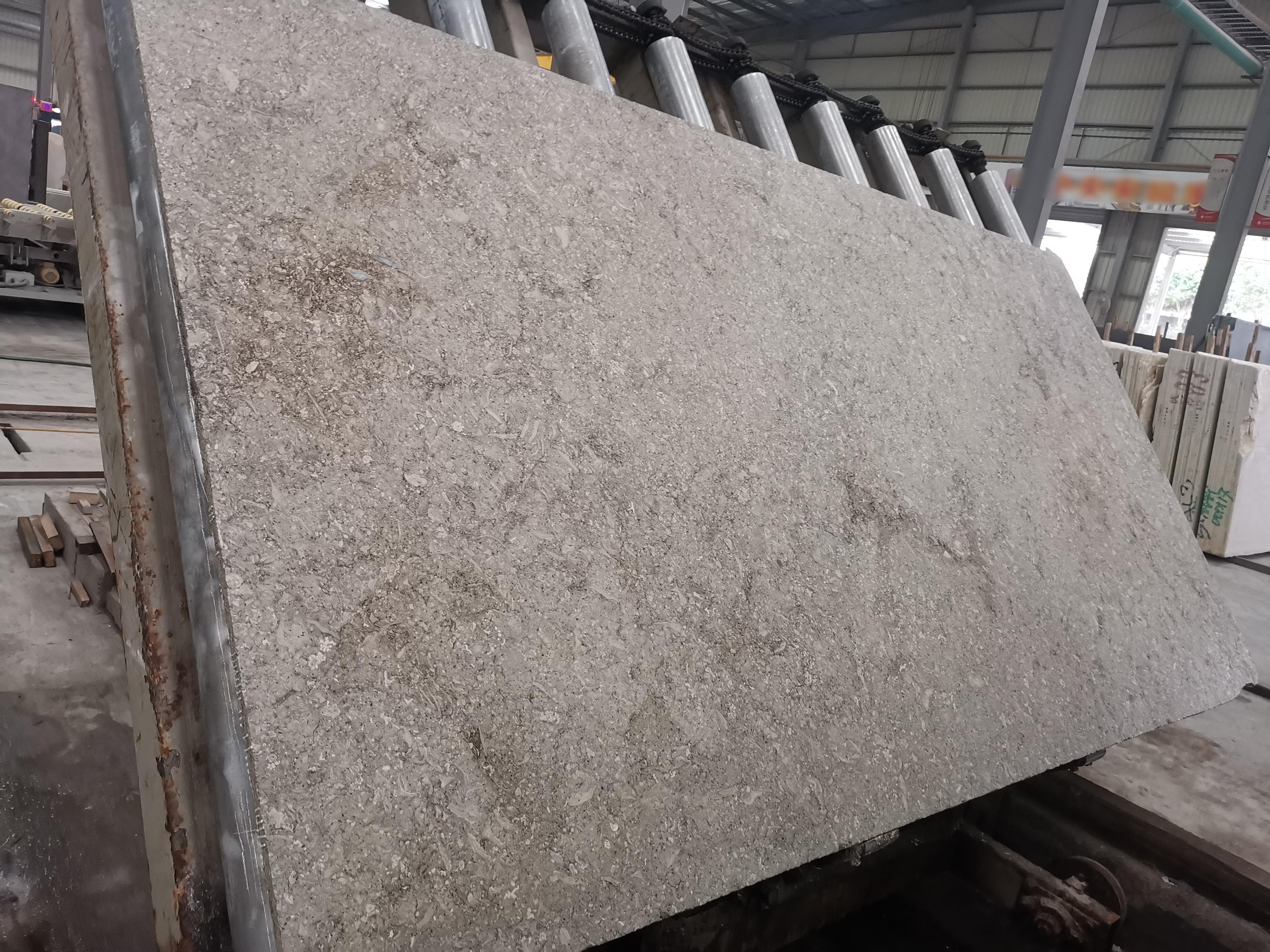 SHIHUI Natural Stone Design Material Fossil Grey Limestone Slab For Outdoor Exterior Wall Cladding