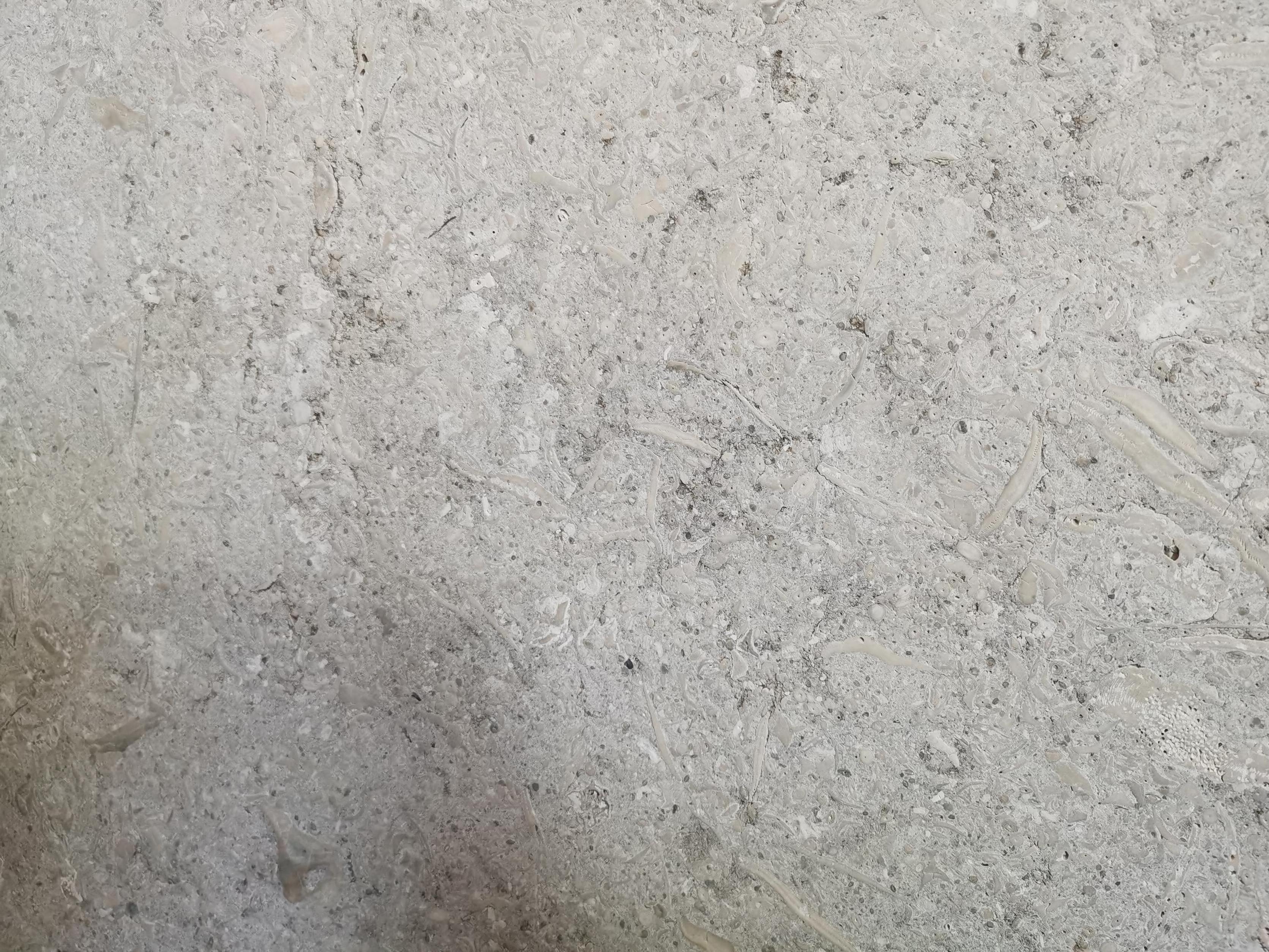 SHIHUI Natural Stone Design Material Fossil Grey Limestone Slab For Outdoor Exterior Wall Cladding